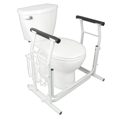 Stand Alone Toilet Rail
